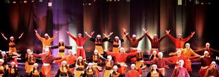 Palestinian Performing Arts Network