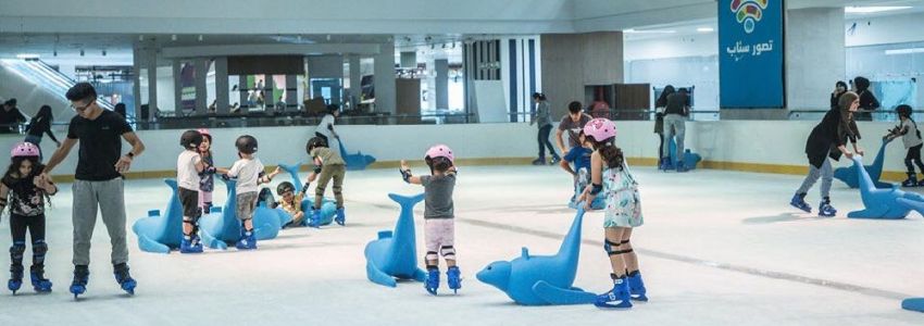 Penguins Skate Rink