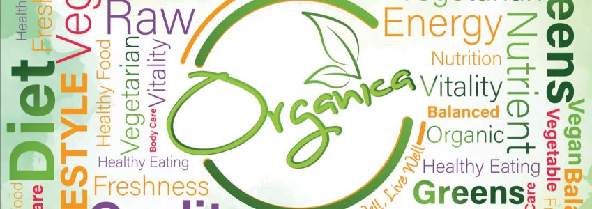 Organica Healthy Shop