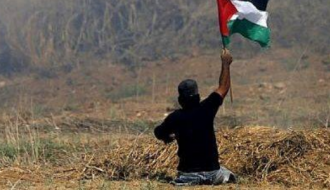 نقاش مقالة "غزة: معركة السيقان المبتورة"