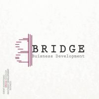 Bridge Business Development