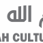 قصر رام الله الثقافي