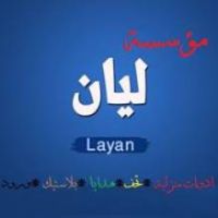 Layan Home Appliances, Antiques & Gifts Est