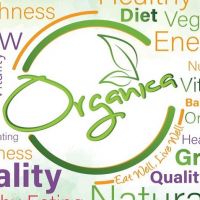 Organica Healthy Shop