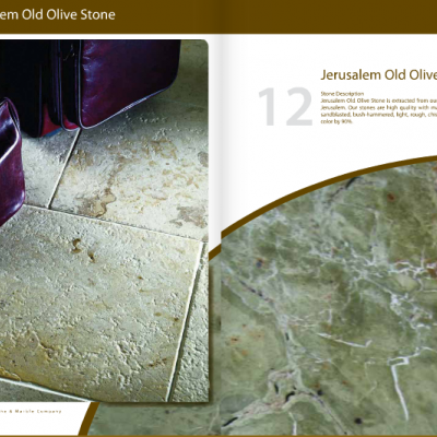 Jerusalem Old Olive Stone