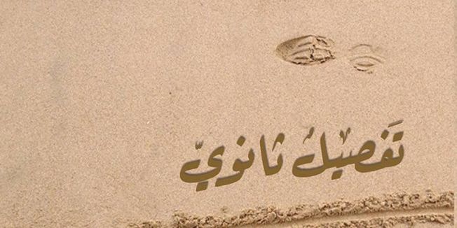 إطلاق رواية "تفصيل ثانوي" للكاتبة عدنية شبلي