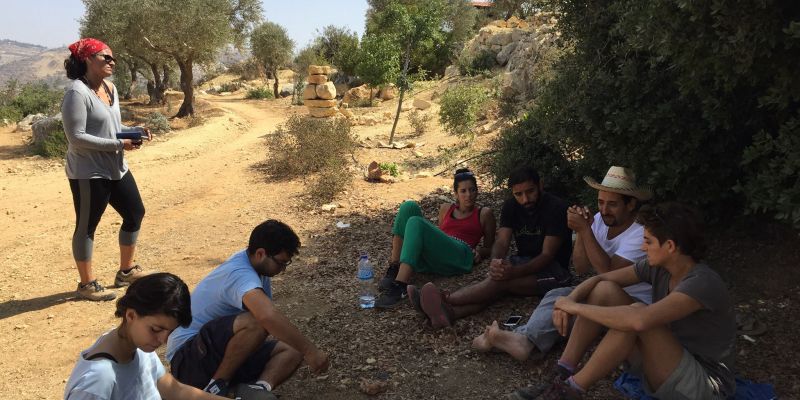 الأحد يوم مفتوح Open Day This Sunday