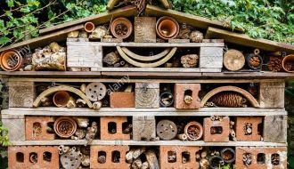 فندق الحشرات/Bugs Hotel
