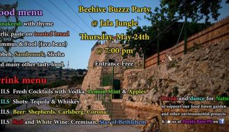 The Beehive Buzzz Party