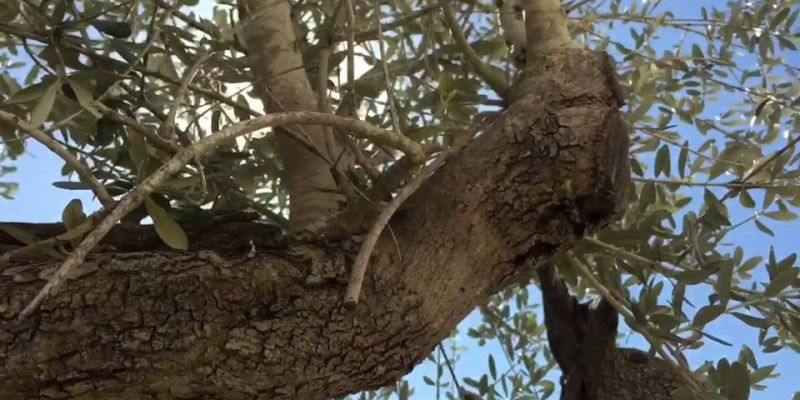 مؤتمر صحفي لوزير الخارجية والمغتربين ونظيره اللاتفي