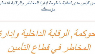 الحوكمة, الرقابة الداخلية وادارة المخاطر في قطاع التأمين