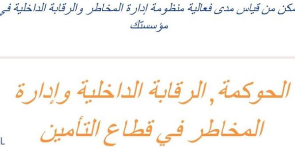 الحوكمة, الرقابة الداخلية وادارة المخاطر في قطاع التأمين