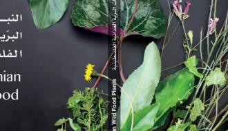 النباتات البرية الغذائية الفلسطينية-Palestinian wild food plants