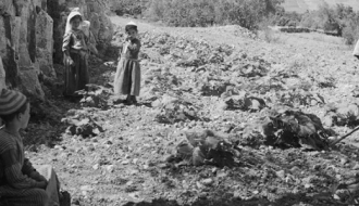 Al Jib Archaeological Tour