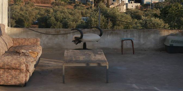 معرض سقف البلد