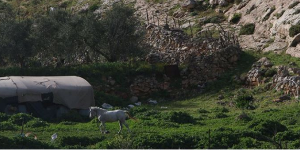 حلقة نقاش| السياسات المكانية في فلسطين وخارجها