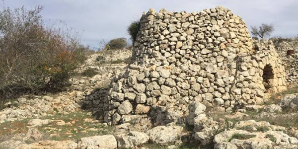 أعمال فنية عن قرب | المنطار: حكايات قصور المزارع في جبال فلسطين